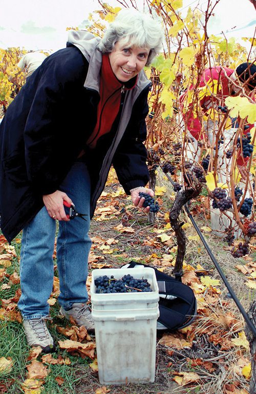 Linda Jones of the Michigan Grape and Wine Industry Council, Michigan Department of Agriculture and Rural Development, gets close and personal with some grapes.