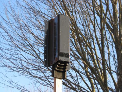 Bat house in the wild