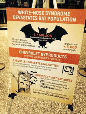 Bat sign