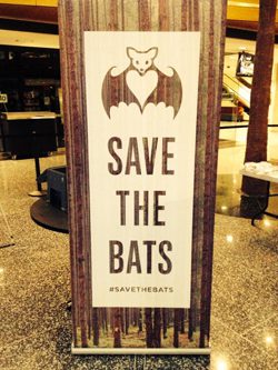 Save the Bats saign