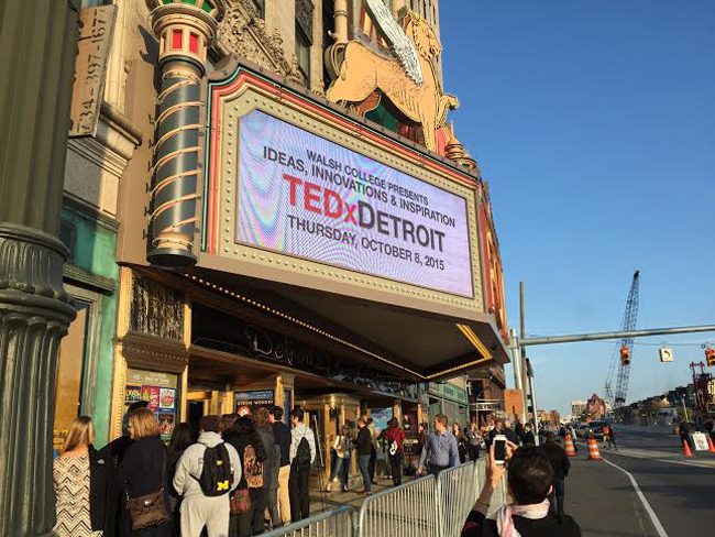 Ted 1