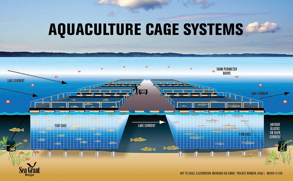 13-713 RAS aquaculture IA diagram