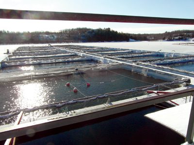 Aqua-Cage Fisheries owner Gord Cole says he spends about $20,000 a year in water testing at his Parry Sound, Ontario, operation.