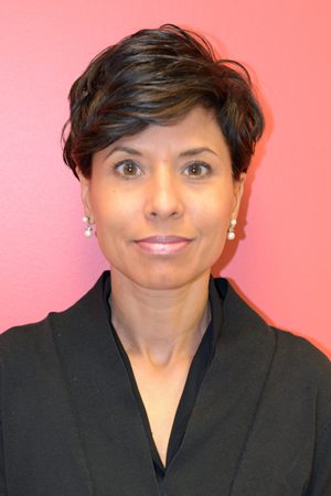 Ann Marie Sastry, Sakti CEO