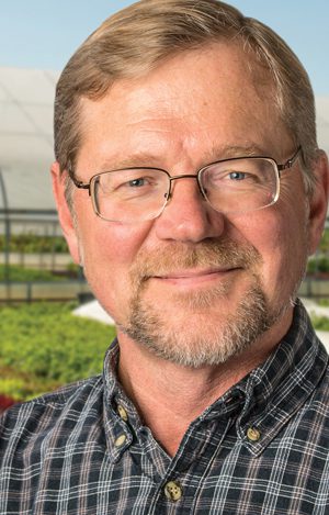 MSU’s Michael Hamm is an expert in sustainable agriculture.