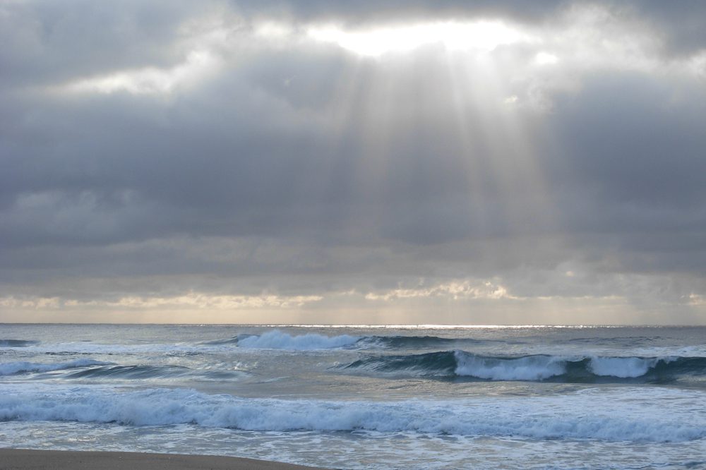 sunlight on waves h1b