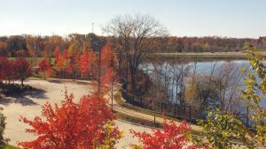 Beautiful fall colors beckon ITC employees to the company's fitness trail.