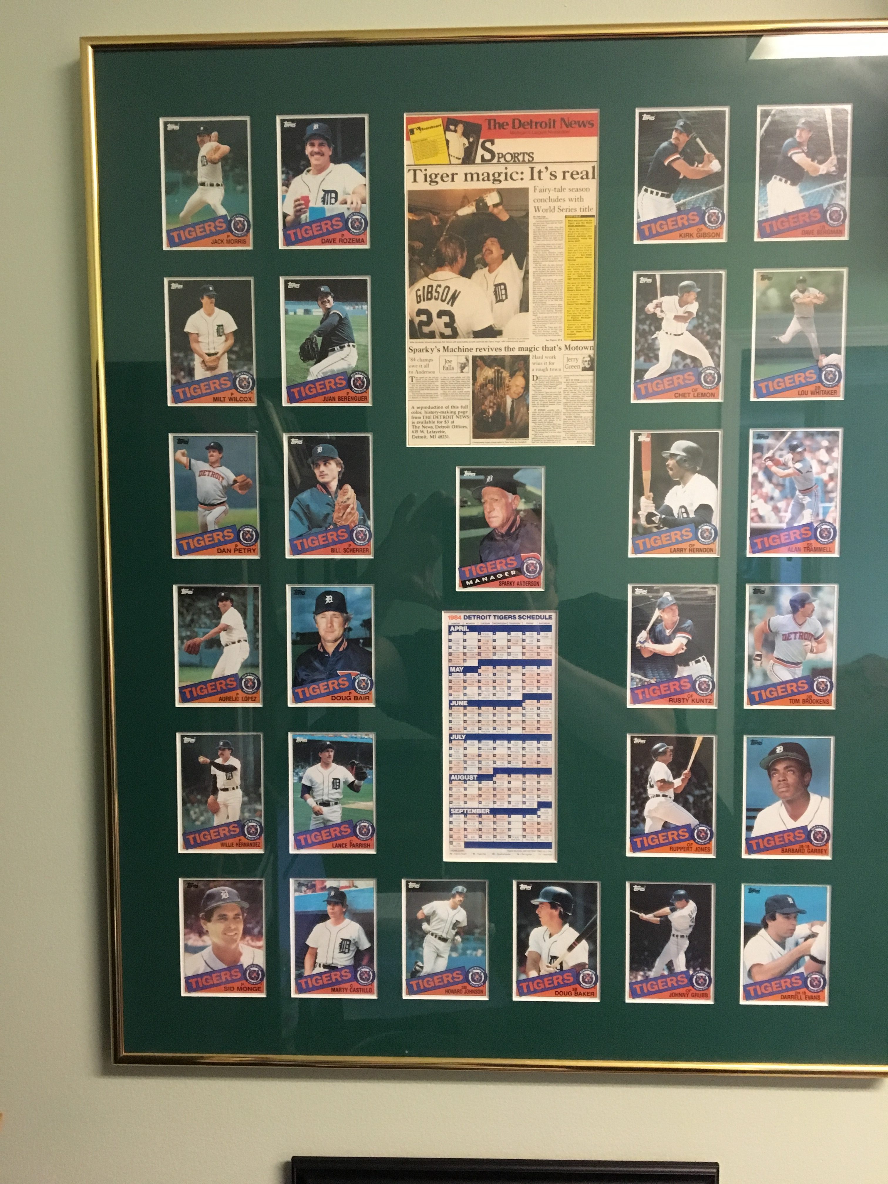 91bc76b4-1984-tigers.