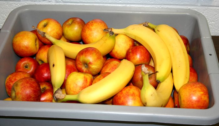 Farmtoschool1