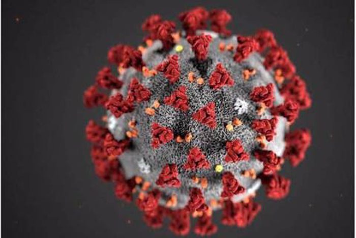 virus