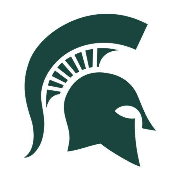 MSU 1