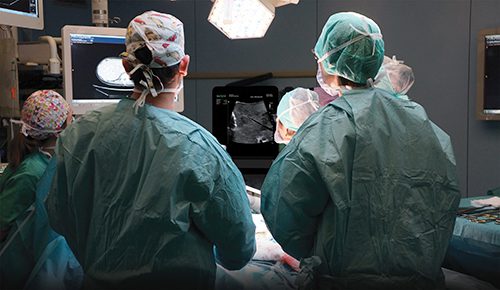 BK Medical_image