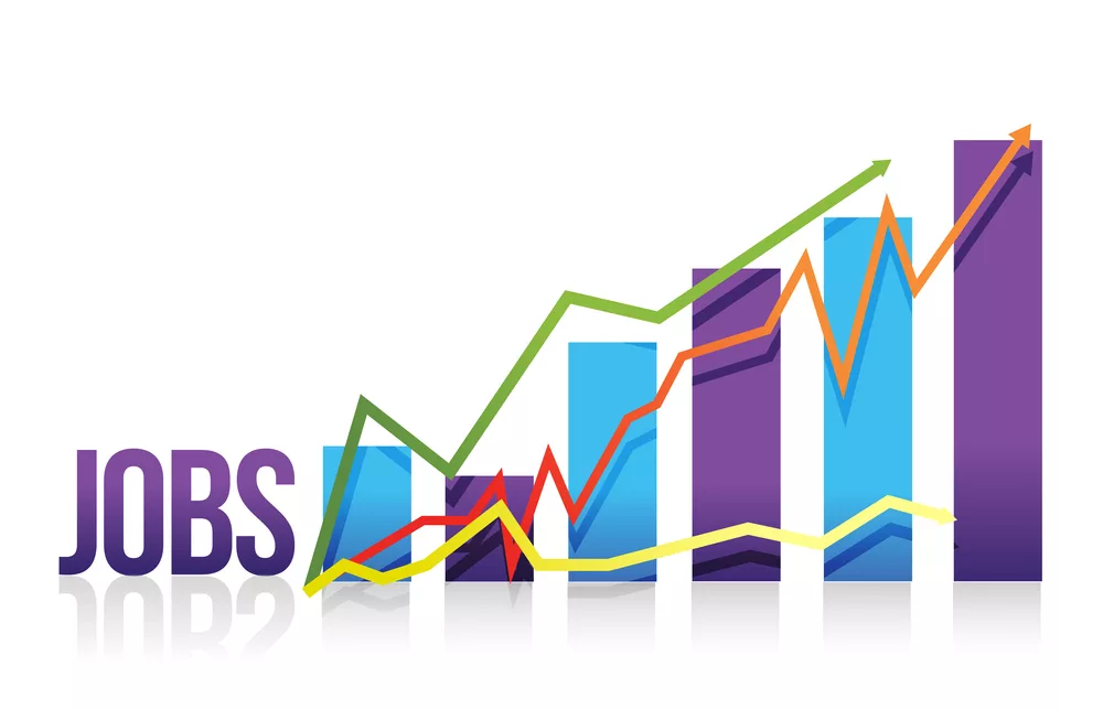 Jobs business color graph illustration design